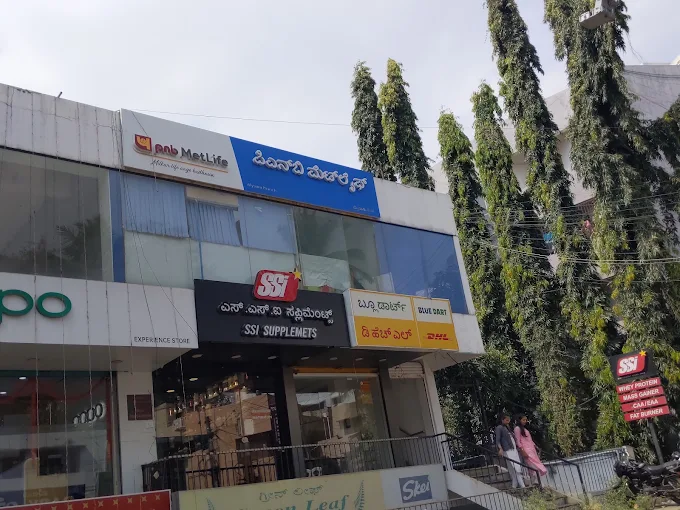 Life insurance company in Mysuru - PNB MetLife India Insurance